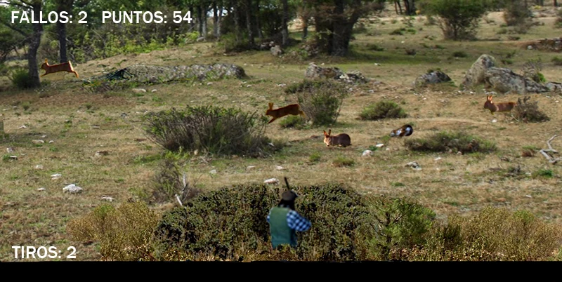 Cazando conejos screenshot